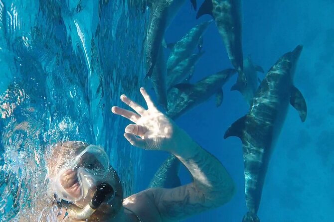 PADI Open Water Diver Course in Hurghada - Learn Scuba Diving