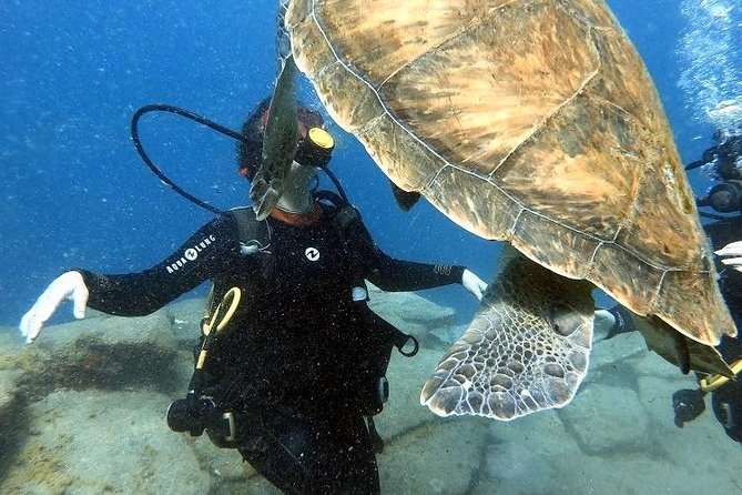 PADI Scuba Dive Course in Costa Adeje - Course Overview