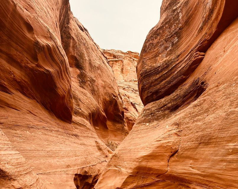 Page: Mountain Sheep Slot Canyon Guided Hiking Tour
