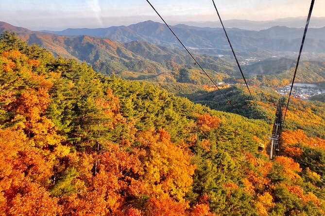 Palgongsan Natural Park Autumn Foliage One Day Tour From Busan