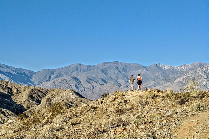 Palm Springs Hike to an Oasis and Amazing Desert Views - Good To Know