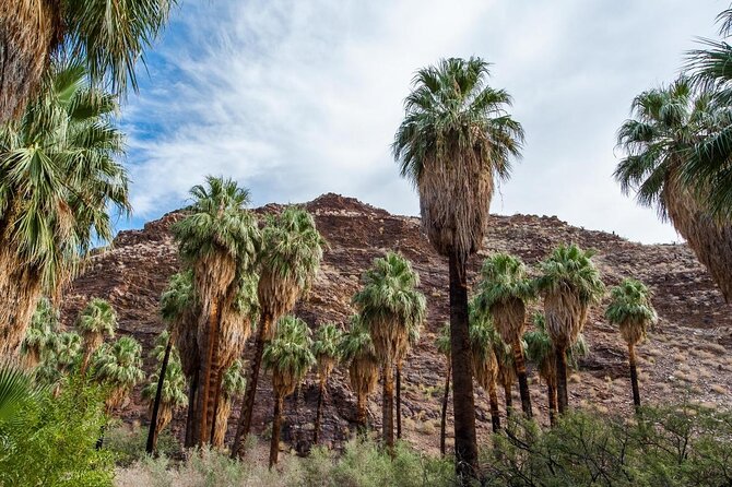 Palm Springs Indian Canyons Bike and Hike - Good To Know