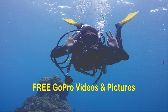 Panama City Scuba Diving Activity for Beginners - Good To Know