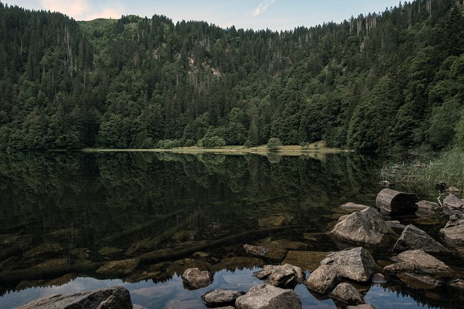 Panorama Hike Through the Black Forest Guided by a Local - Good To Know