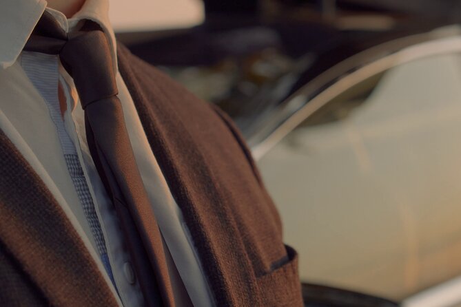 Panoramic Tour of Paris in Tesla (4h) - Fees and Taxes