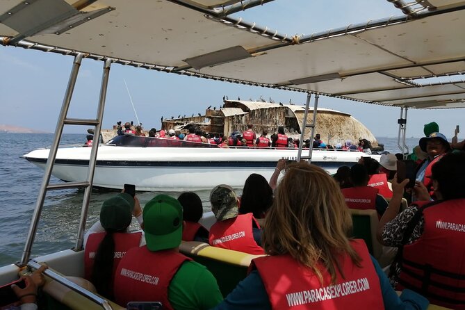 Paracas - Ballestas Islands and Huacachina With Sandboarding, Dune Buggy - FULL DAY - Date Selection and Flexibility