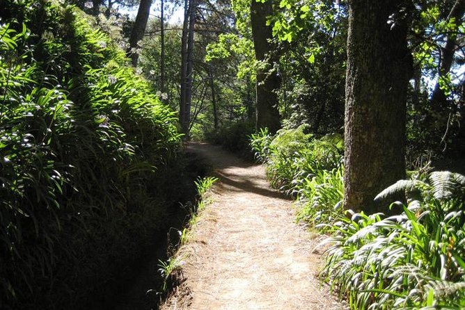 Paradise Valley - Levada Walk - Good To Know