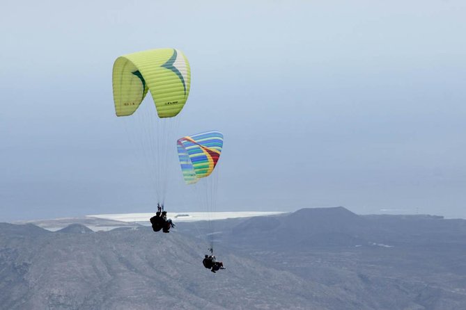 Paragliding Epic Experience in Tenerife With the Spanish Champion Team - Good To Know