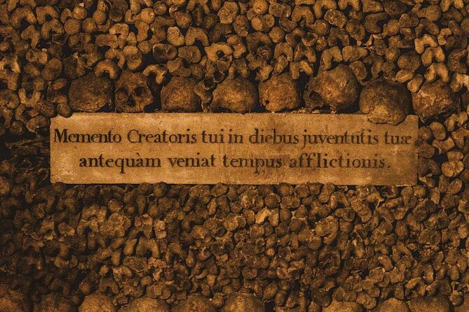 Paris Catacombs Access Tickets With Host - Good To Know