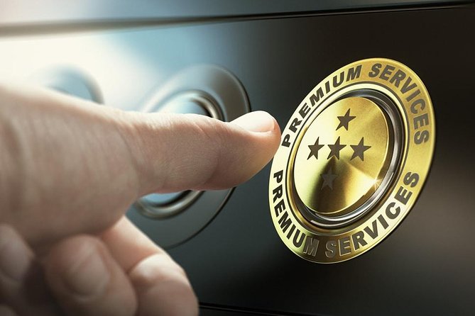 Paris City Tour With Private Driver in Luxury Minivan - Good To Know