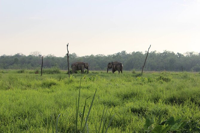 Parsa Wildlife Reserve Tour From Kathmandu - Good To Know