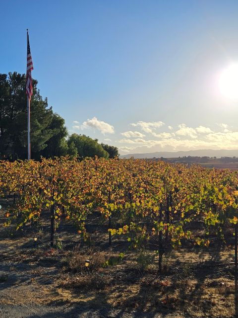 Paso Robles Full-Day Winery Tour With Picnic