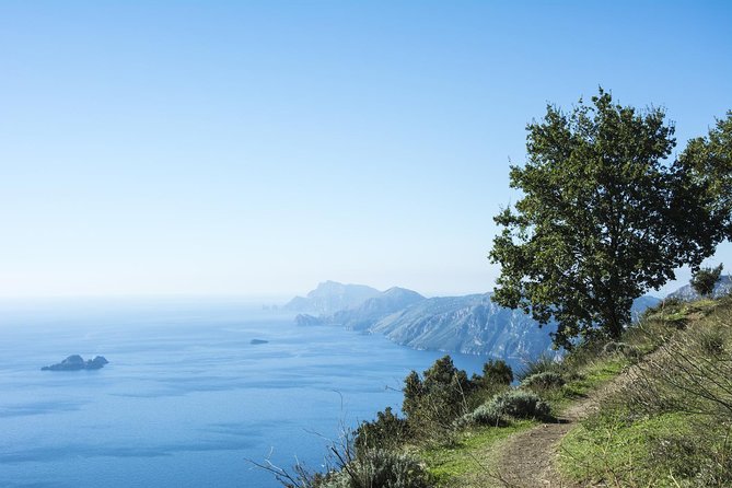 Path of the Gods Hiking Tour From Sorrento - Good To Know