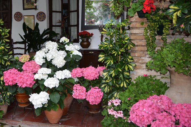 Patios & Perfums of Cordoba Festival Tour