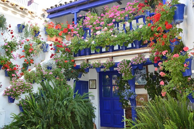Patios Y Flores – Visita Guiada