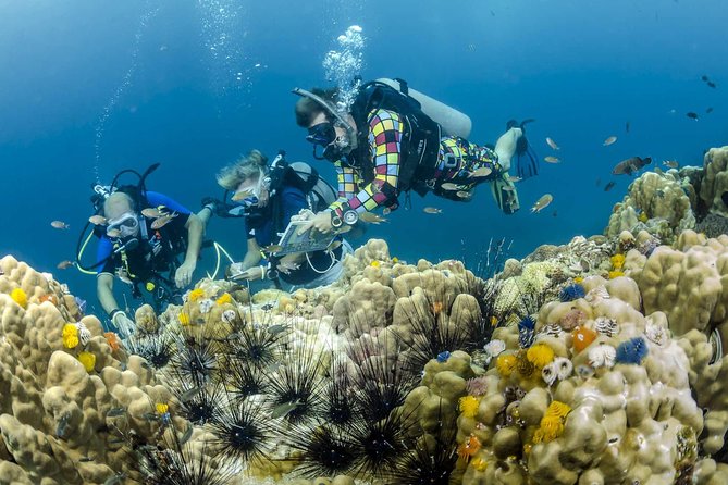 Pattaya Professional Diving - Good To Know