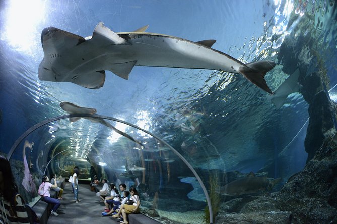 Pattaya Underwater World Entrance Ticket
