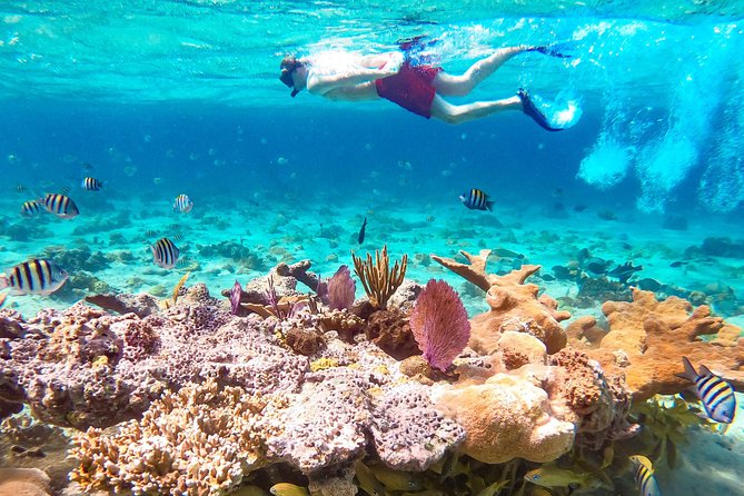 Pearl Island Escape With Snorkeling Experience and Lunch - Good To Know