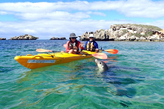 5 Best Canoe And Kayak Experiences In Perth