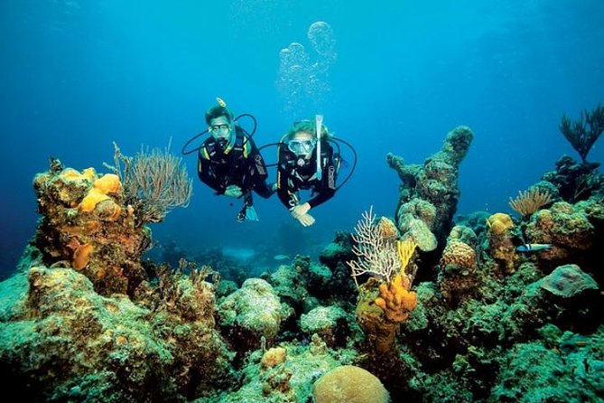 Pequeño Grupo De Buceo Bautismal En Girona. - Good To Know