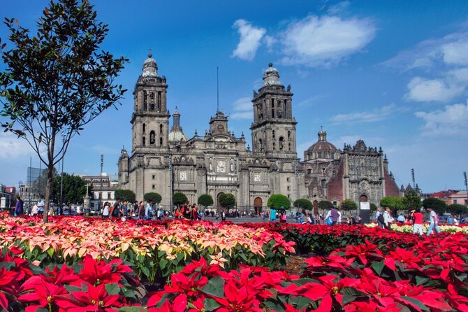 Perfect Way to Get a Snapshot of the Mexico City - Good To Know