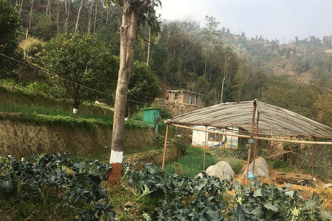 Permaculture Organic Farm Tour in Patlekhet From Kathmandu Nepal