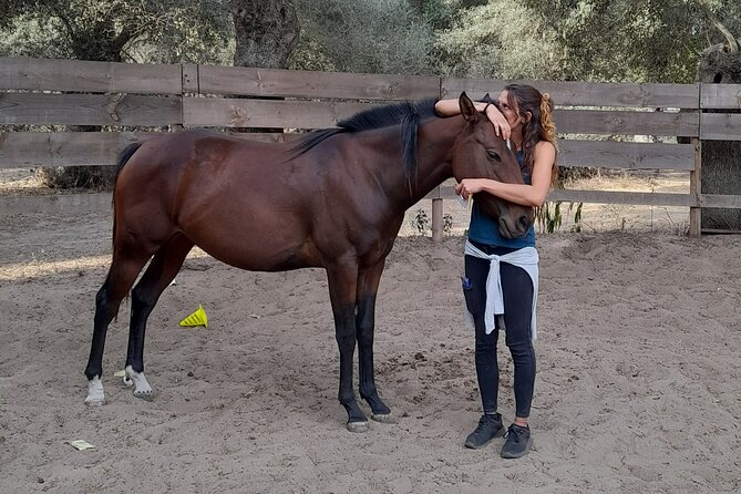 Personal Coaching Assisted With Horses - Good To Know