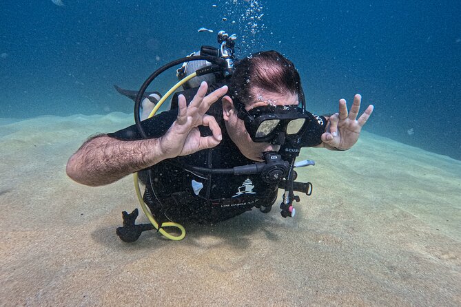 Personalized Fun Dive With 2 Tanks in Cabo San Lucas