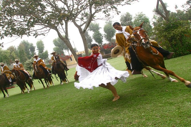 Peruvian Paso Horse & Marinera With Lunch at Trujillo - Good To Know