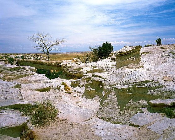 Petrified Forest National Park Self-Guided Driving Audio Tour - Good To Know