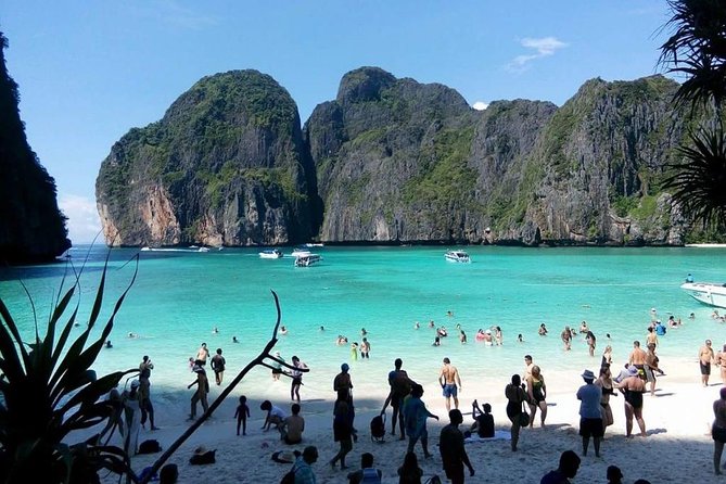 Phi Phi Half Day Tour Speed Boat Tour - Good To Know