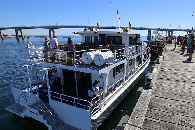 Phillip Island Whale & Dolphin Watching Cruise: San Remo - Mornington Peninsula