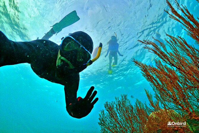 Phu Quoc Private Coral Jungle Reef Snorkel Tour - Good To Know