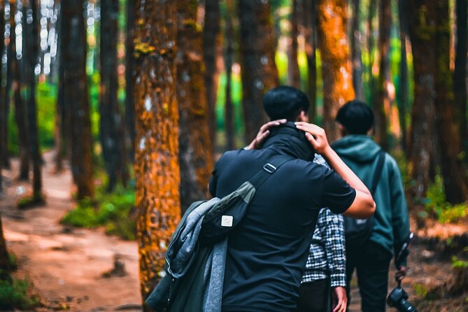 Phuket Adventure Quest: Khao Phra Thaeo Trek - Good To Know