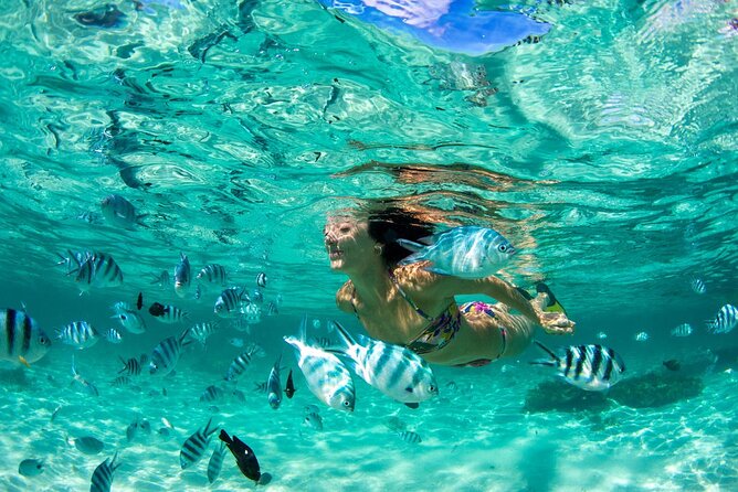 Phuket Coral Island Private Snorkeling Adventure All Inclusive - Good To Know