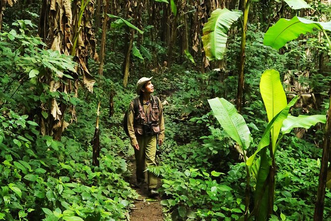 Phuket Jungle Trekking Experience at Khao Phra Taew National Park - Good To Know