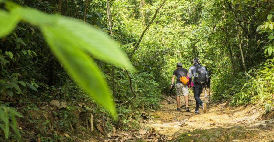 Phuket Jungle Trekking Experience at Khao Phra Taew - Good To Know