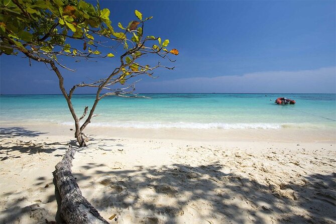 Phuket-Maiton Island-Phi Phi Island-Maya Bay Tour by Speed Boat - Good To Know