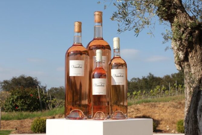 Picnic at "Château Vaudois" Private Tour - Good To Know