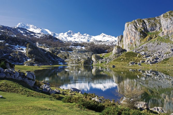 Picos De Europa National Park Small Group Day Trip  - Oviedo - Price and Booking