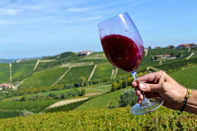 Piemonte Vineyards by Yourself From Turin - Business Car With English Chauffeur