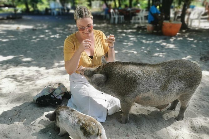 Pig Island Day Trip From Koh Samui by Speedboat - Good To Know