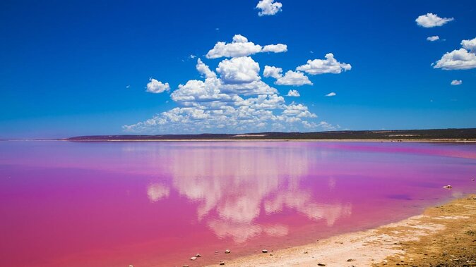 Pink Lake and Abrolhos Flyover Tour