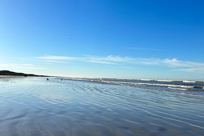 Pipi Catching and Cooking Experience in Goolwa