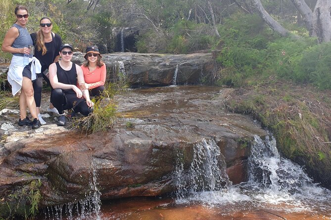 Pittwater Lunch Paddle With Waterfall Bush Walk
