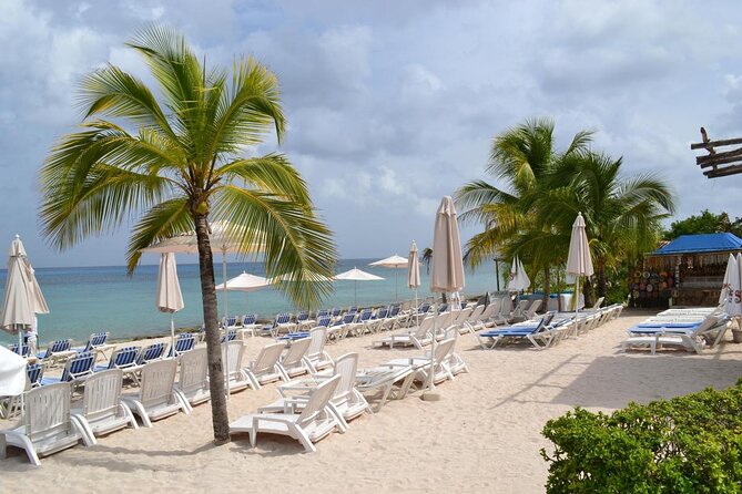 4 Best Drinking Tours In Cozumel