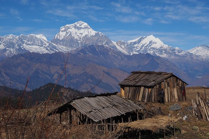 Pokhara 5 Day Private Trek to Mohare Danda - Good To Know