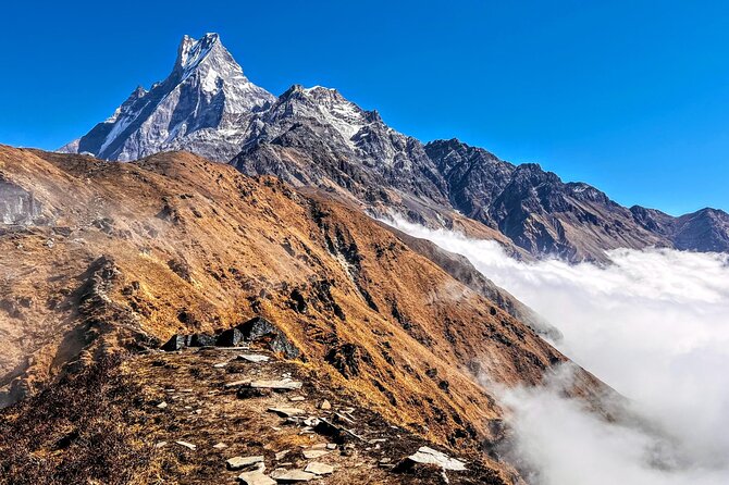 Pokhara Private Tour 4 Day Mardi Himal Base Camp Trek - Overview and Inclusions