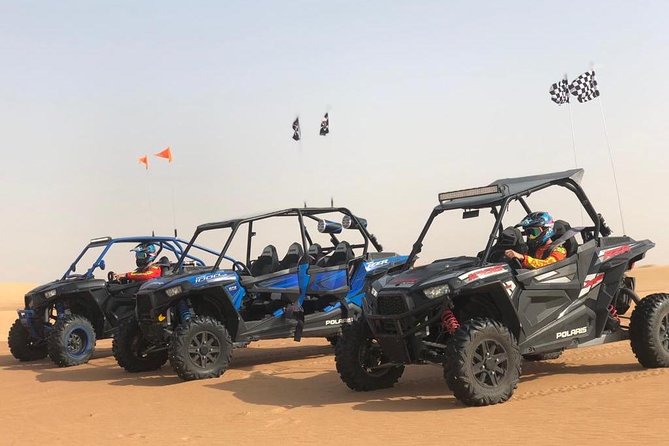 Polaris RZR 1000cc 2seater Desert Adventure Guided Tour - Good To Know