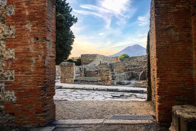 Pompeii & Vesuvius With Lunch & Wine Tasting From Sorrento Coast - Tour Overview